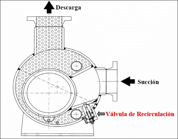 circulacion.png