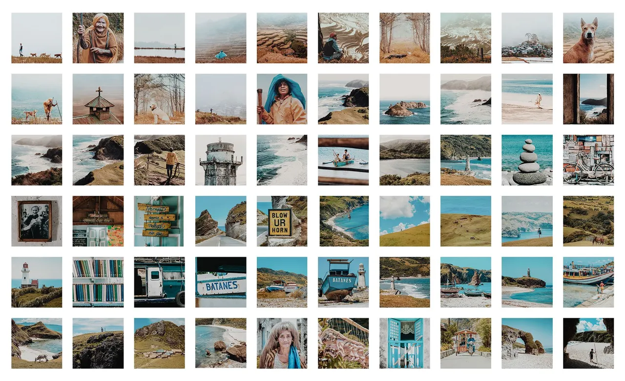 Collage 1.jpg
