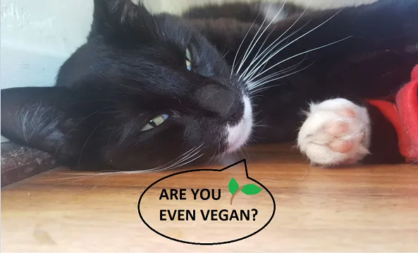 vegan cat.PNG