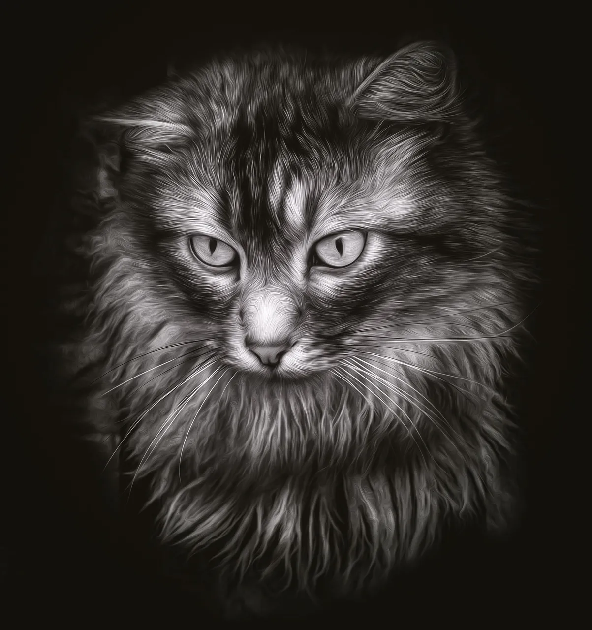 cat-2979980.jpg