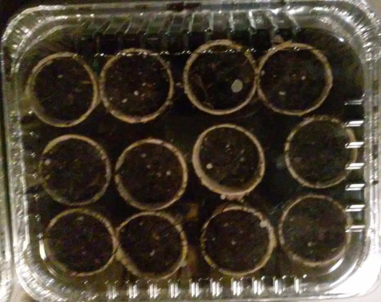 0315182033a.jpg