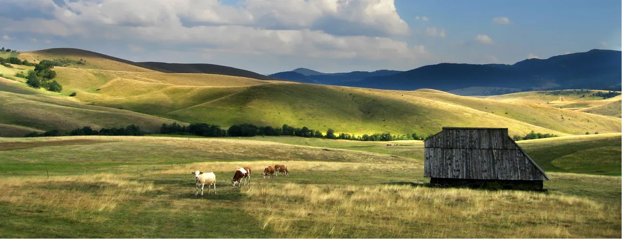 zlatibor333.jpg