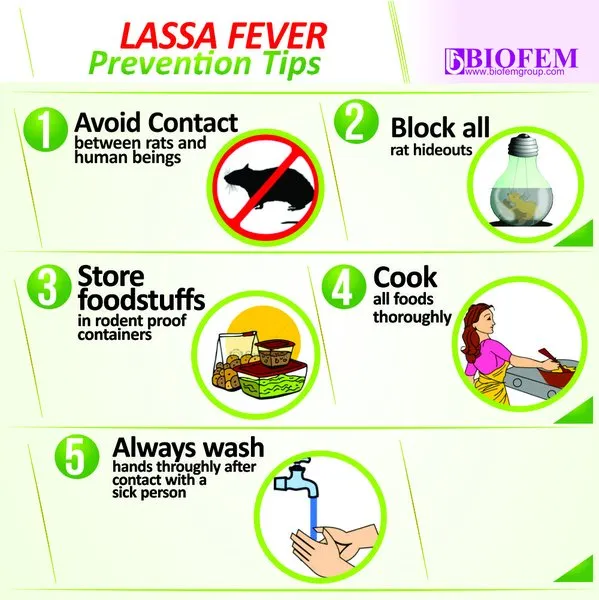 Lassa-Fever.jpg