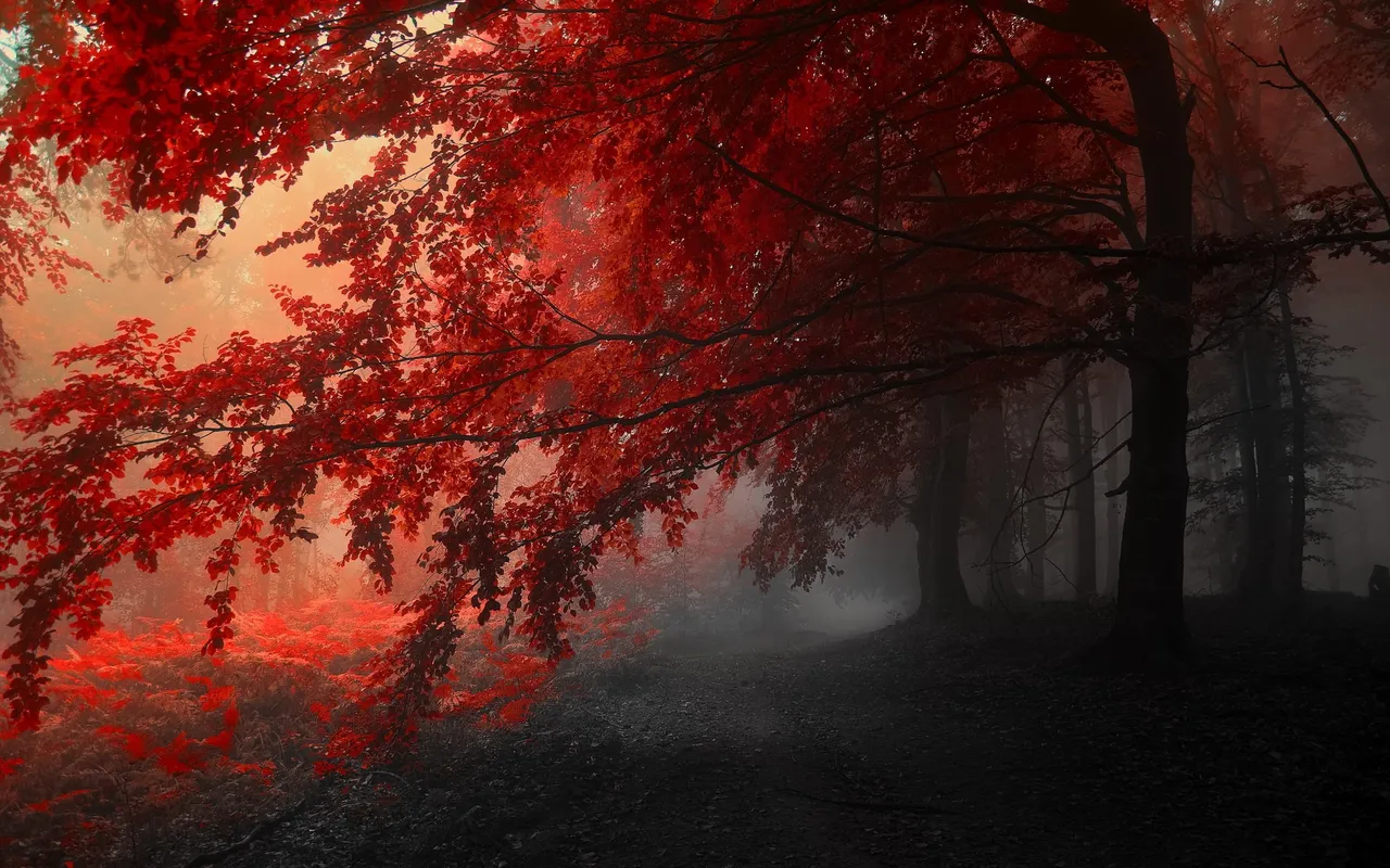 Red Trees.jpg