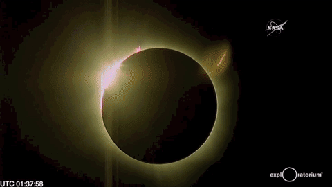 giphy (2).gif