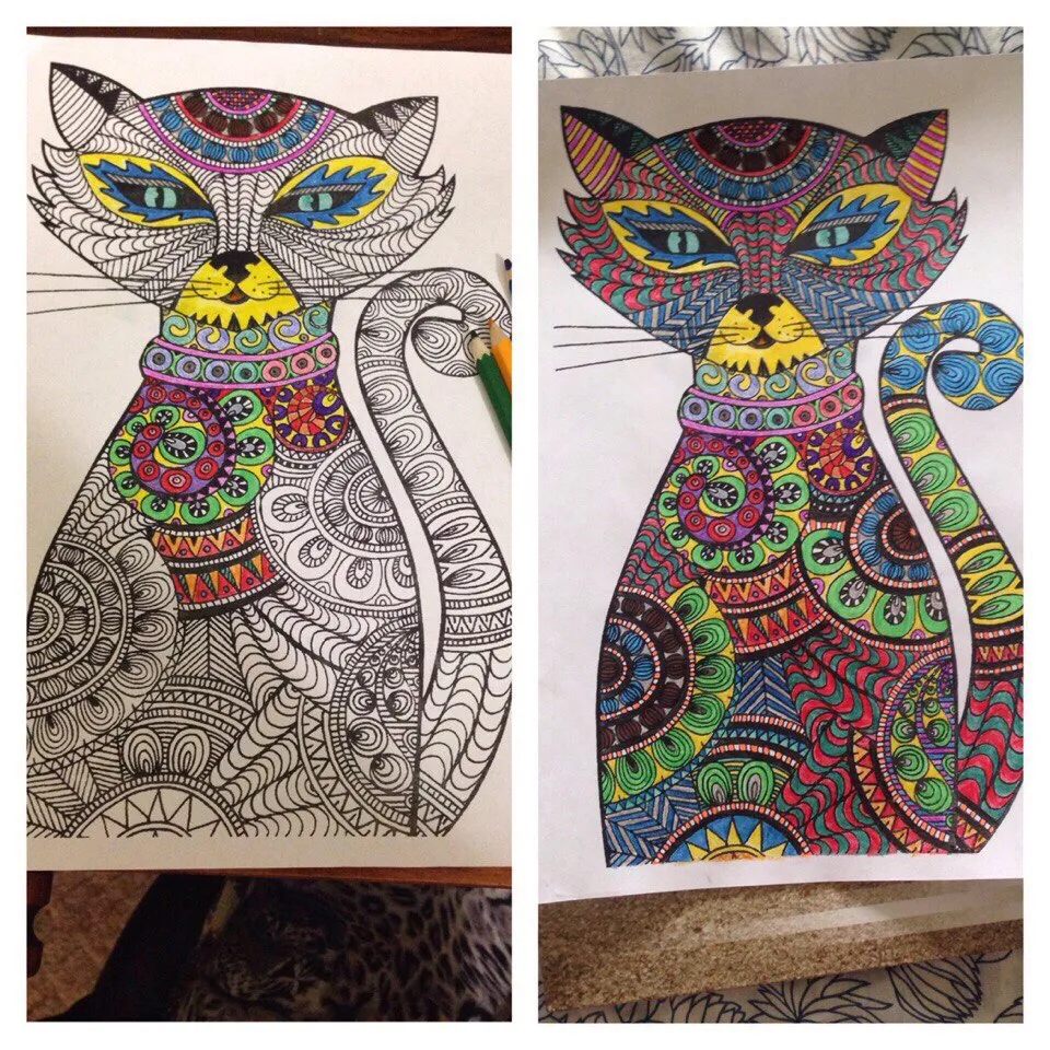 A few pictures of everything)