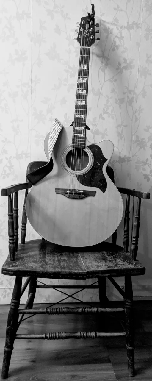 guitar bw.jpg