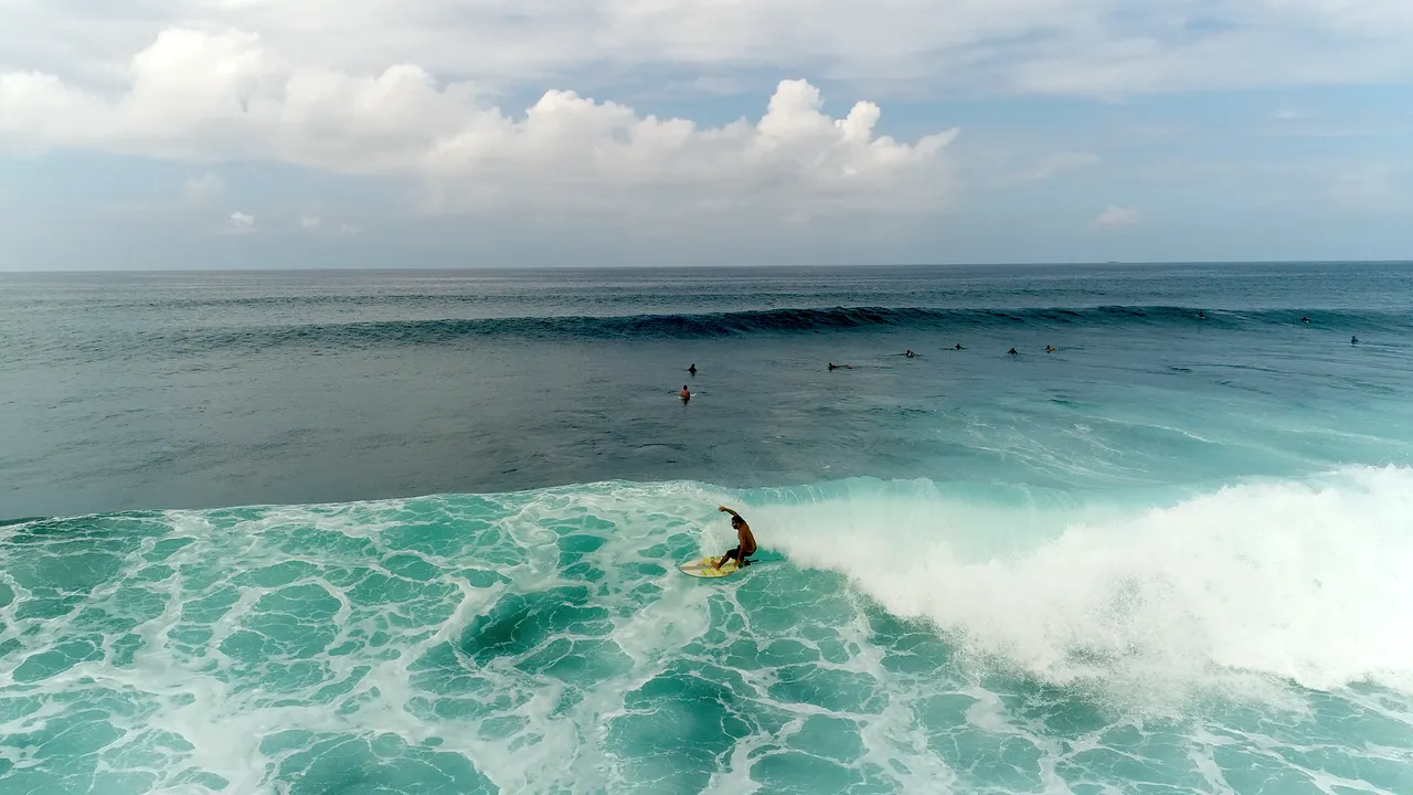 surfer-lg-1.png