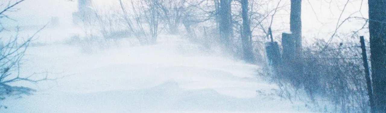 WinterWinds.jpg