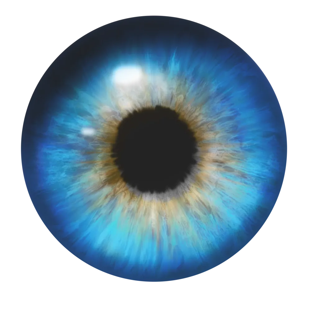Eye-PNG-Pic.png