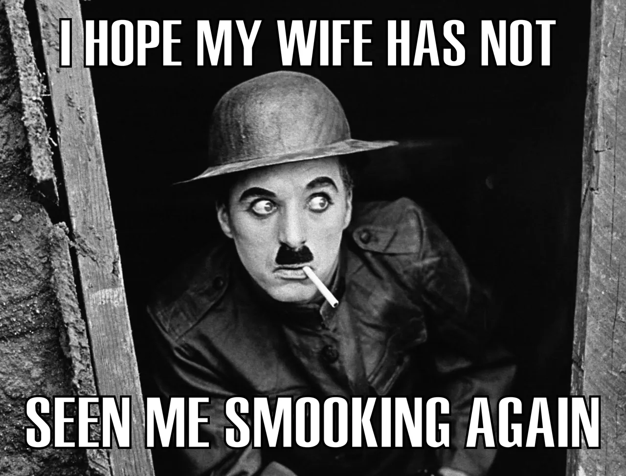 meme fer1.png