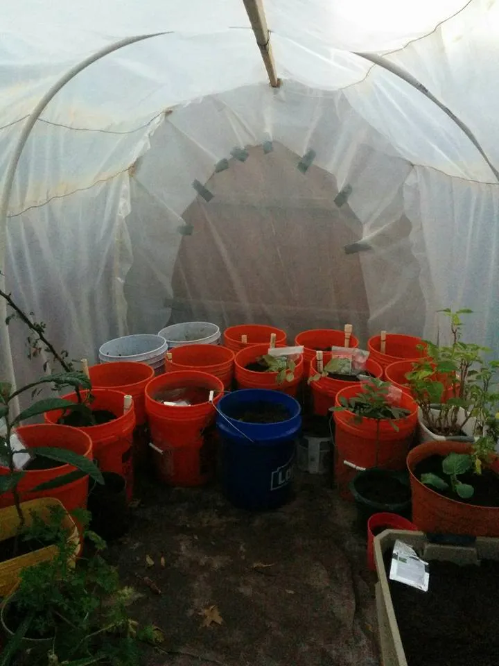 greenhouse1.jpg