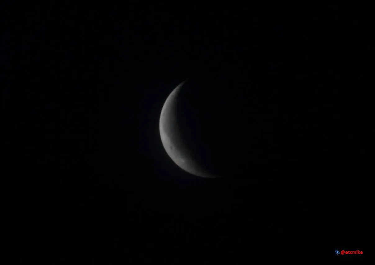 MR170422-01.JPG