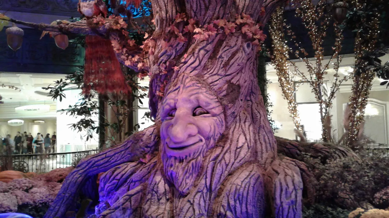 Tree Face.jpg