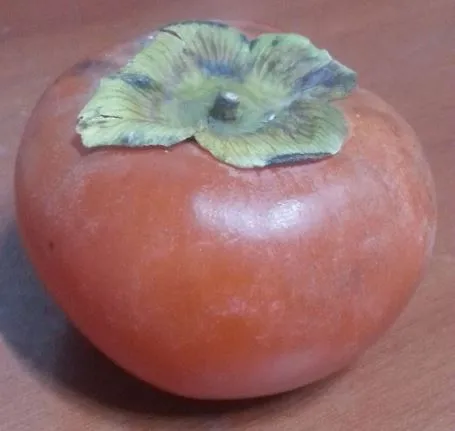 persimmon.1.JPG