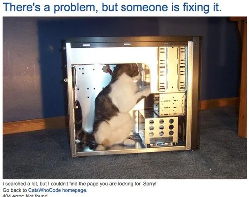 catswhocode.jpg