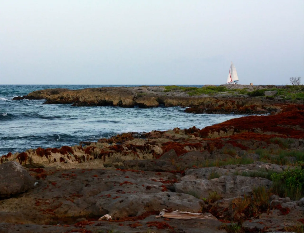 xpuha (1).jpg