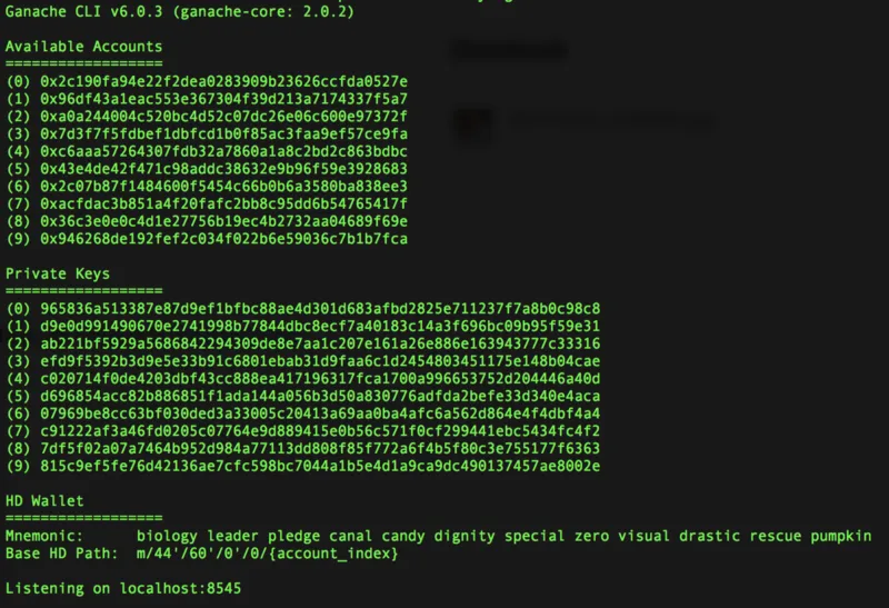 ganache-cli.png