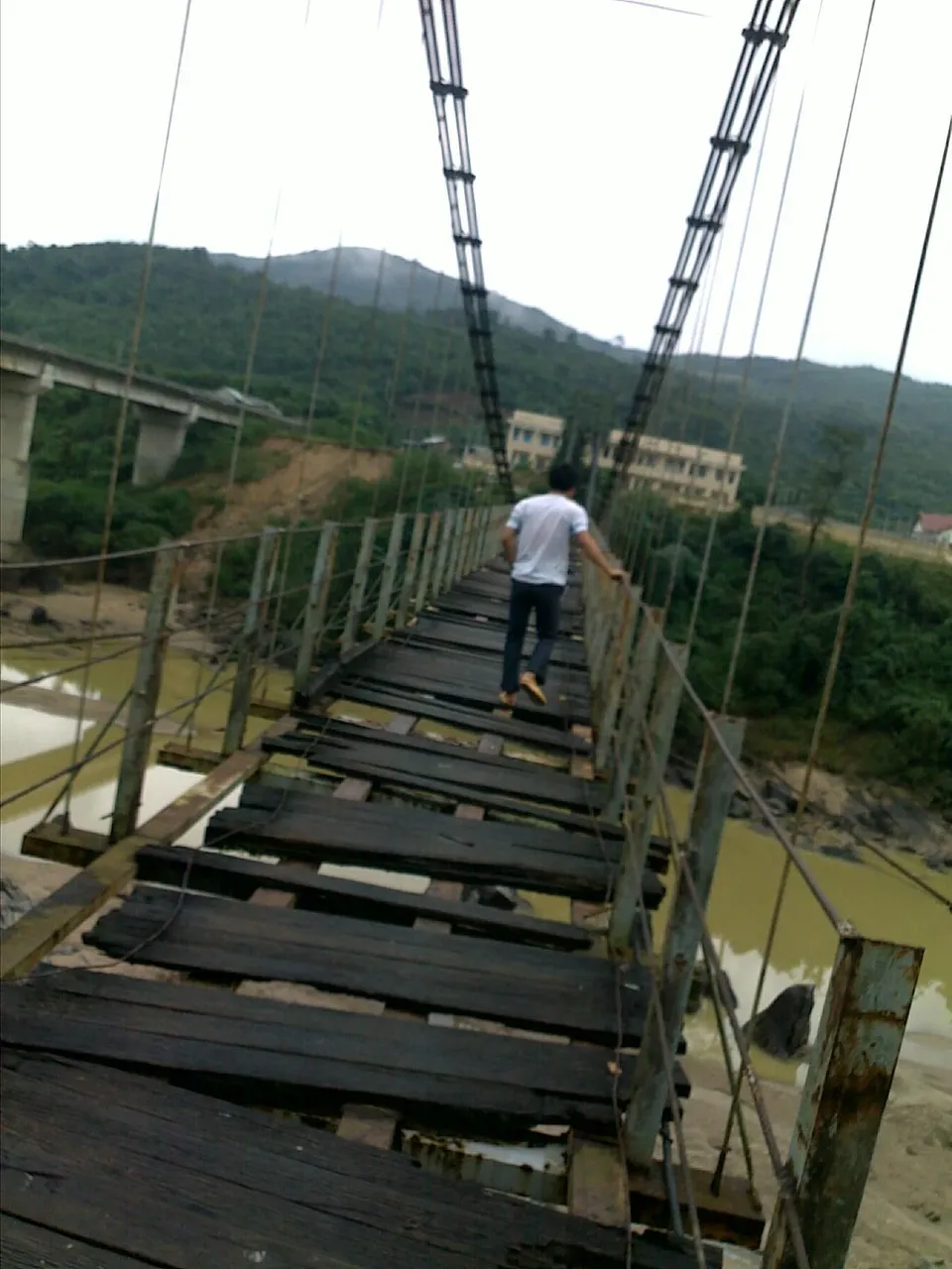 30112010509.jpg