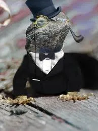 rich-lizard.jpg