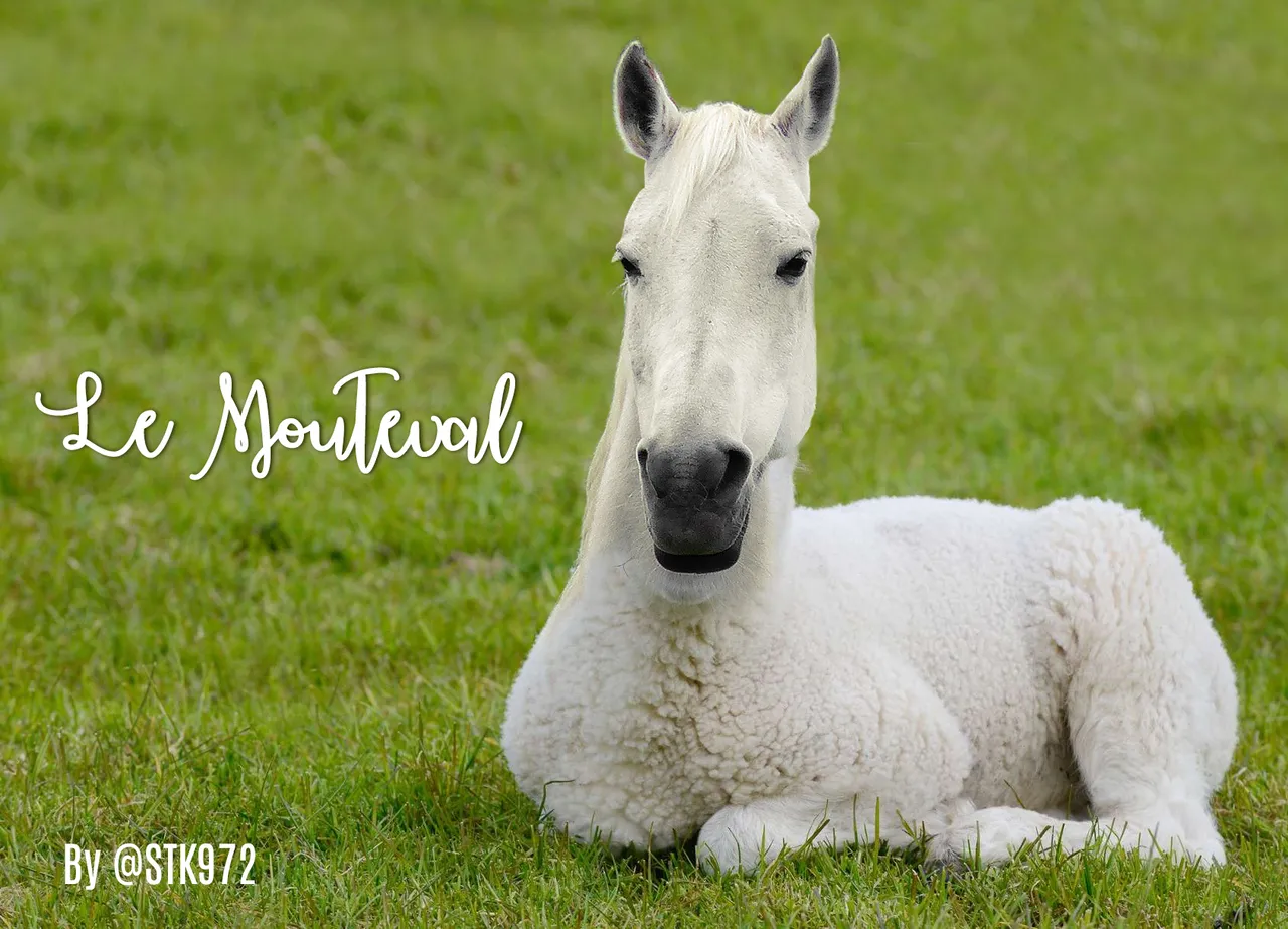 Le-mouteval.jpg