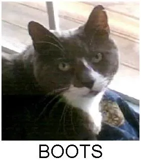 BOOTS44edit.jpg