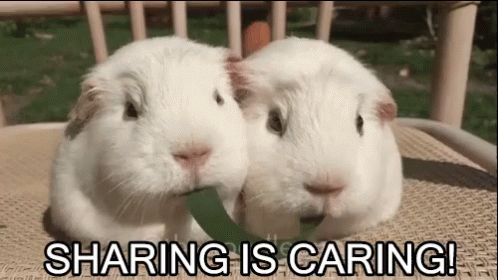 sharing 2.gif