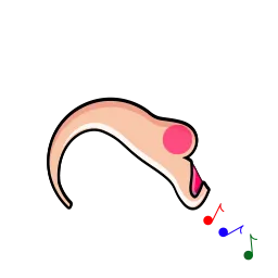down body.png