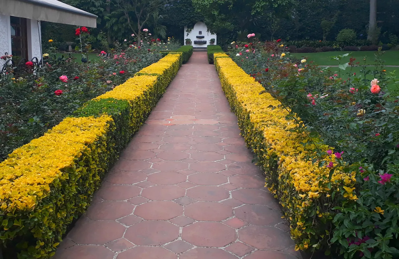 rose-garden.jpg