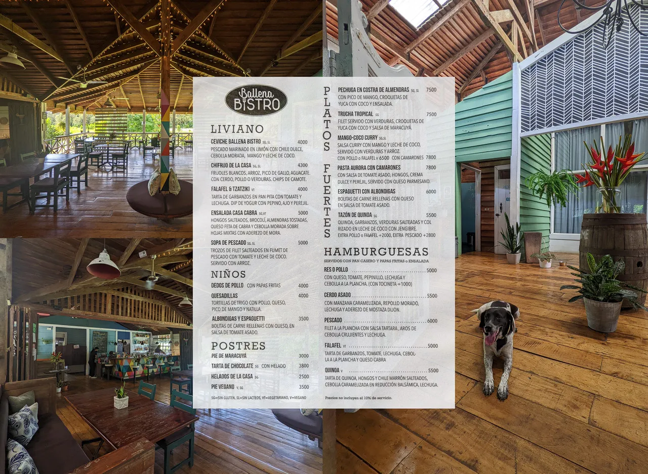 Ballena Bistro and Menu