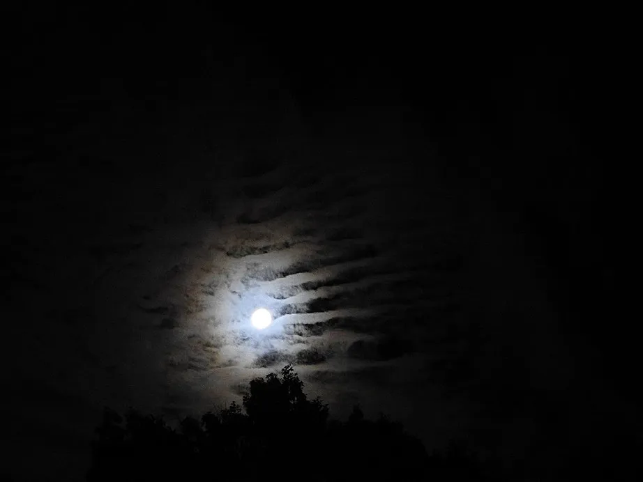 Moon Monday - The Full Thunder Moon July 9th, 2017
