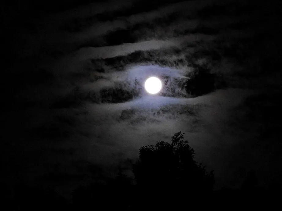 Moon Monday - The Full Thunder Moon July 9th, 2017