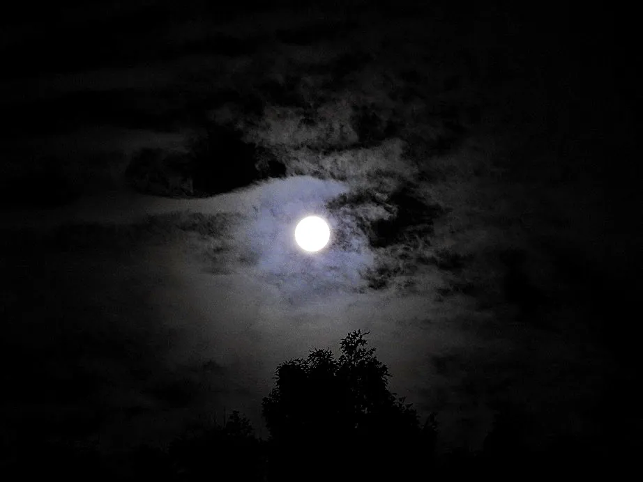 Moon Monday - The Full Thunder Moon July 9th, 2017