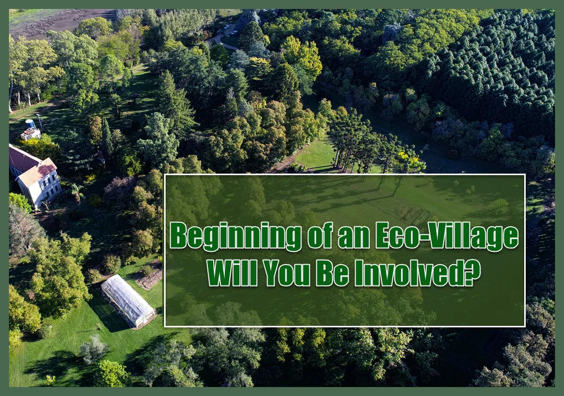 Aerial photo  Nature reserve beginning of an EcoVillage will you be involved.jpg