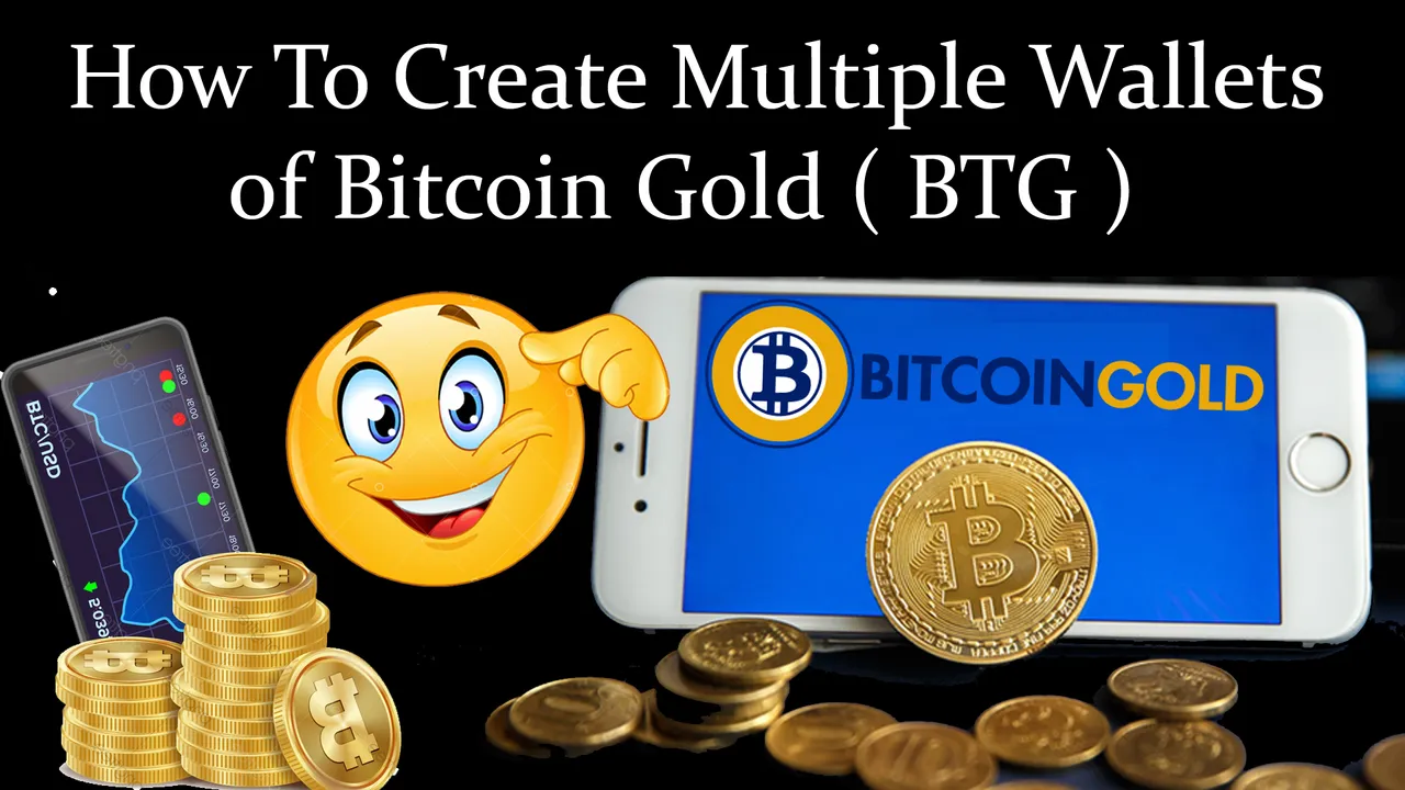 How To Create Multiple Wallets of Bitcoin Gold ( BTG ) BY Crypto Wallets Info.jpg