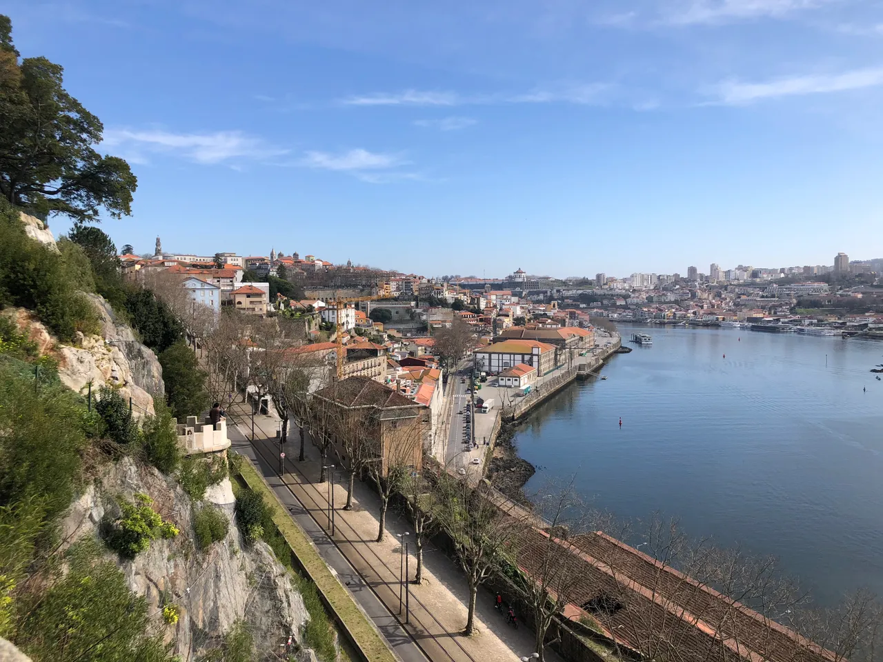 View from Jardim da Cordoaria