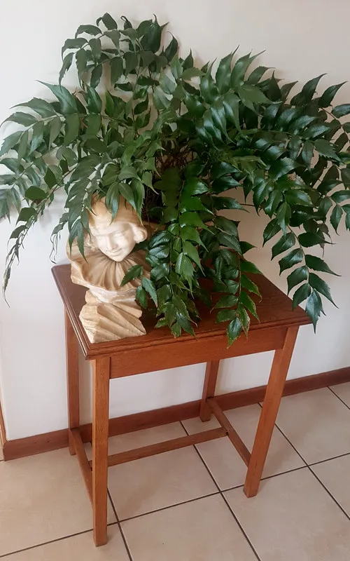 restored-table.jpg