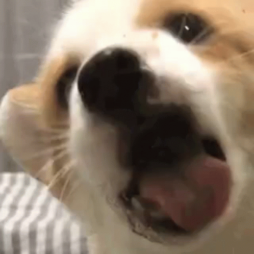 untitled.gif