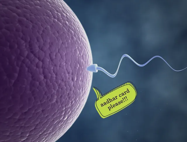 sperm_meet_egg