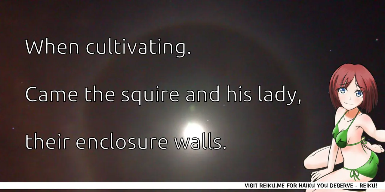 Reiku Haiku
