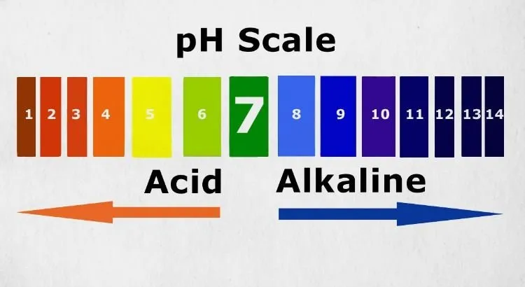 pH-Scale.jpg