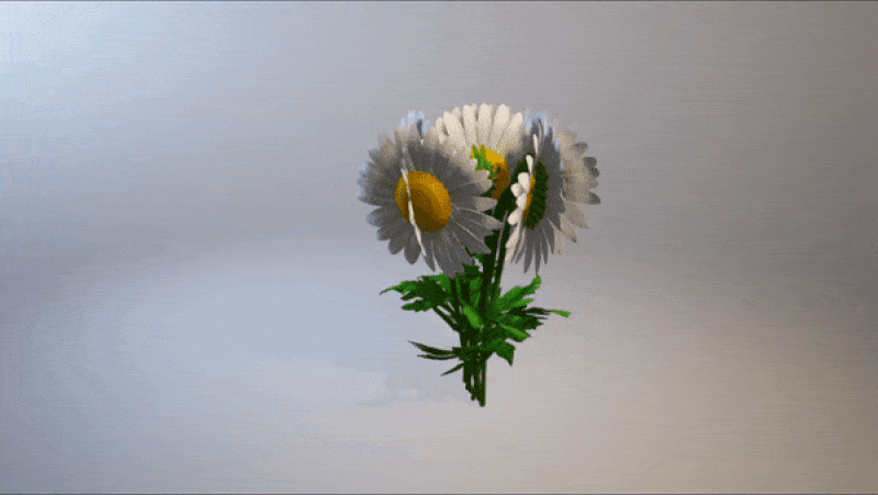 Rotating Bouquet of Daisies