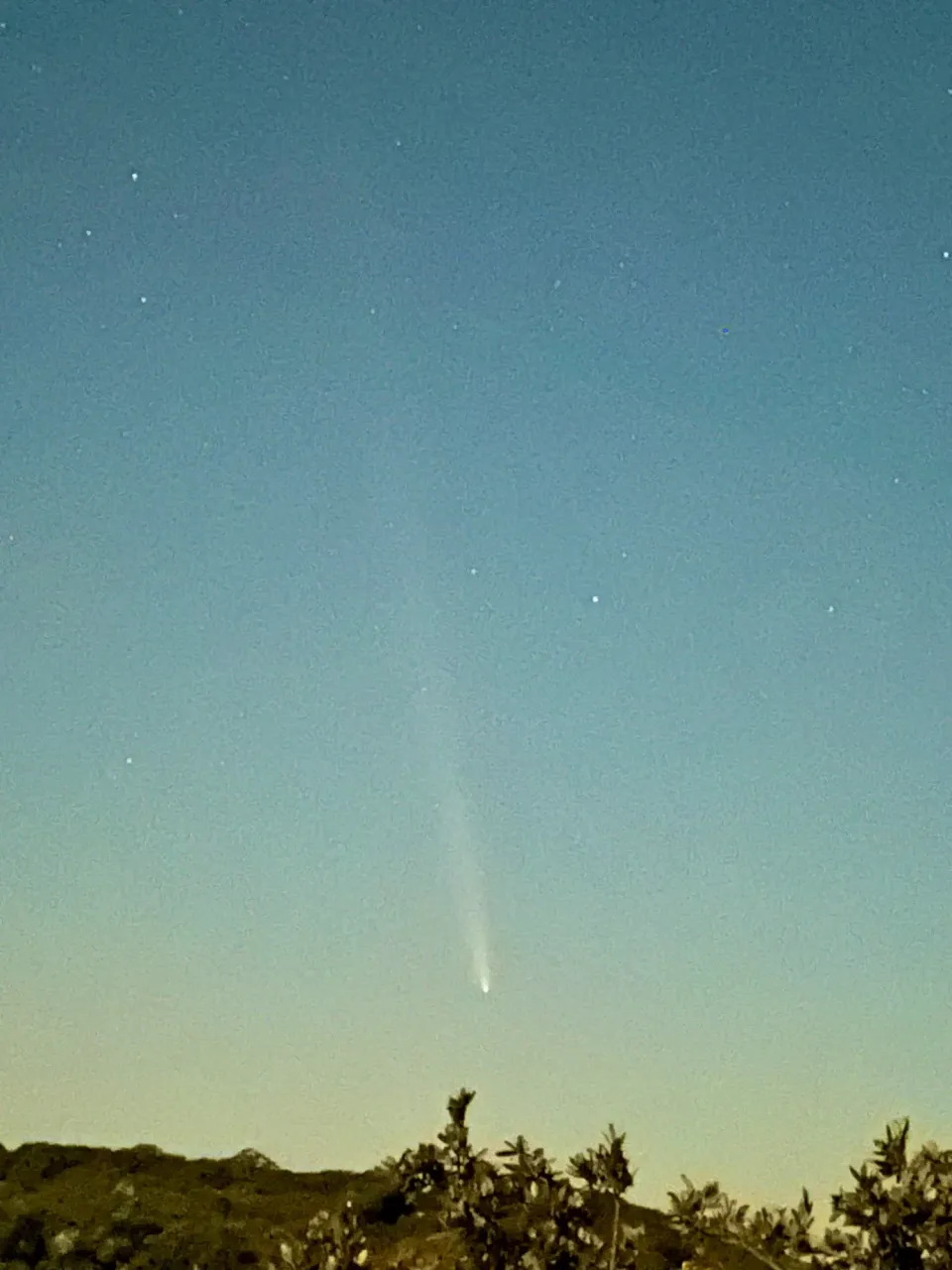 ehw1dPHtfBupLVab_Comet_C2023_A3_October_2024.webp