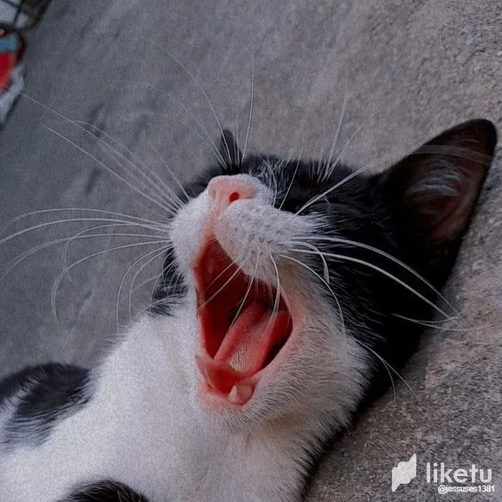 clv2nkh3m00n07eszgqsm7uhh_photo1713114675_3.webp