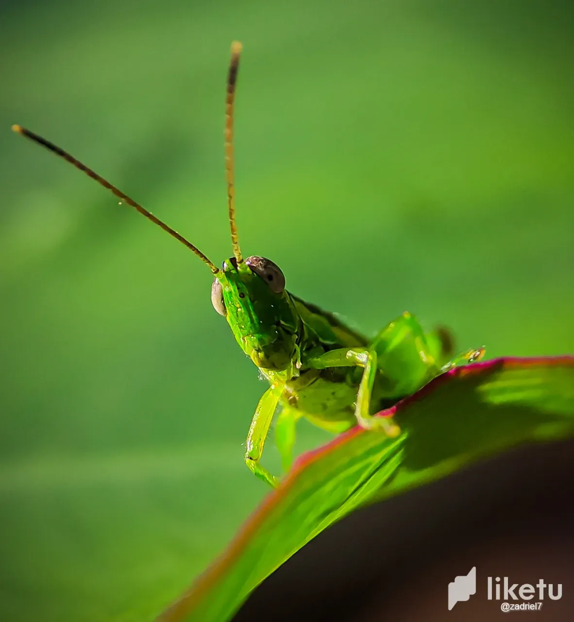 clsrnupbs00067rsz2k3t2s2w_IMG_20220817_082148.webp