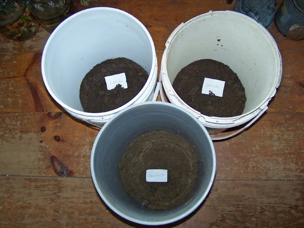 Soil Test - finished samplings crop Nov. 2018.jpg