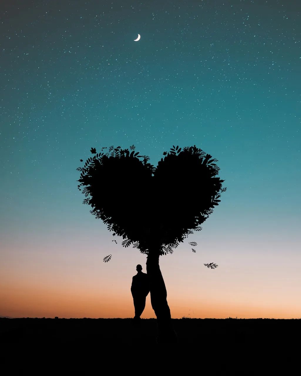 silhouette-photo-of-man-leaning-on-heart-shaped-tree-744667.jpg