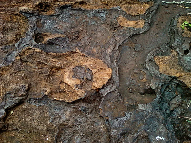 800px-Igneous-rock_(Tuff_type)_at_Rushikonda,_Visakhapatnam.jpg