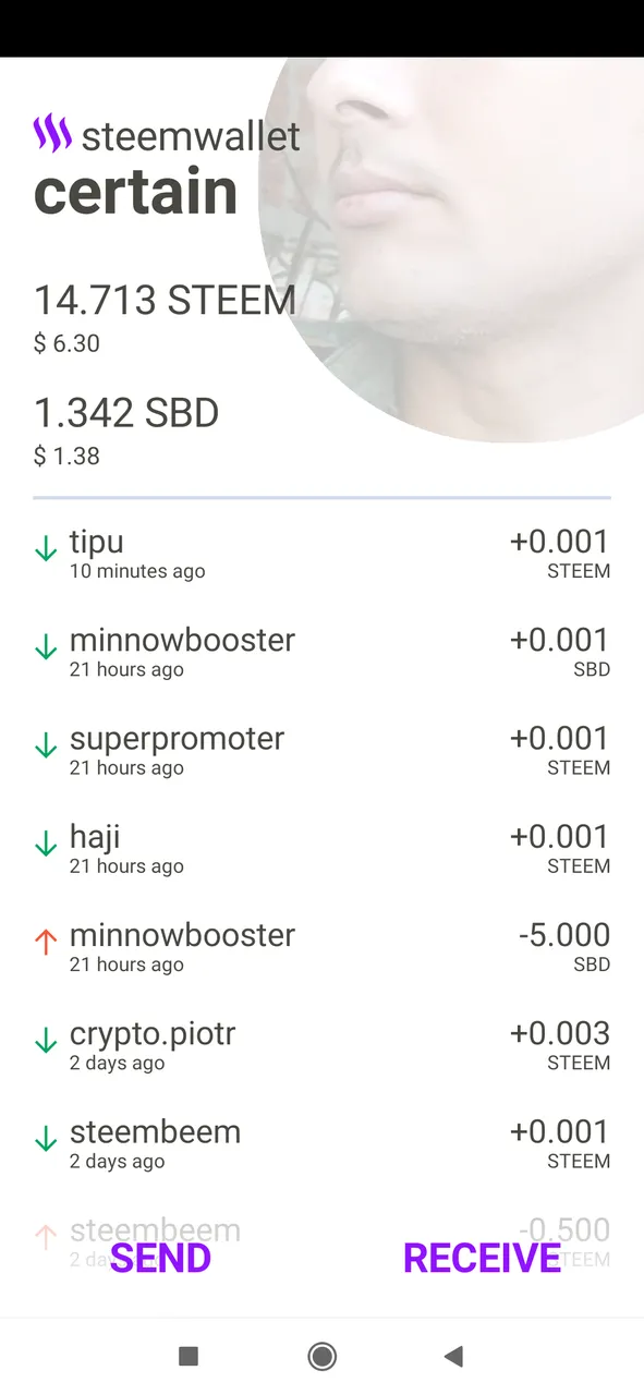 Screenshot_2019-06-12-12-17-33-968_app.steemwallet.roelandp.png