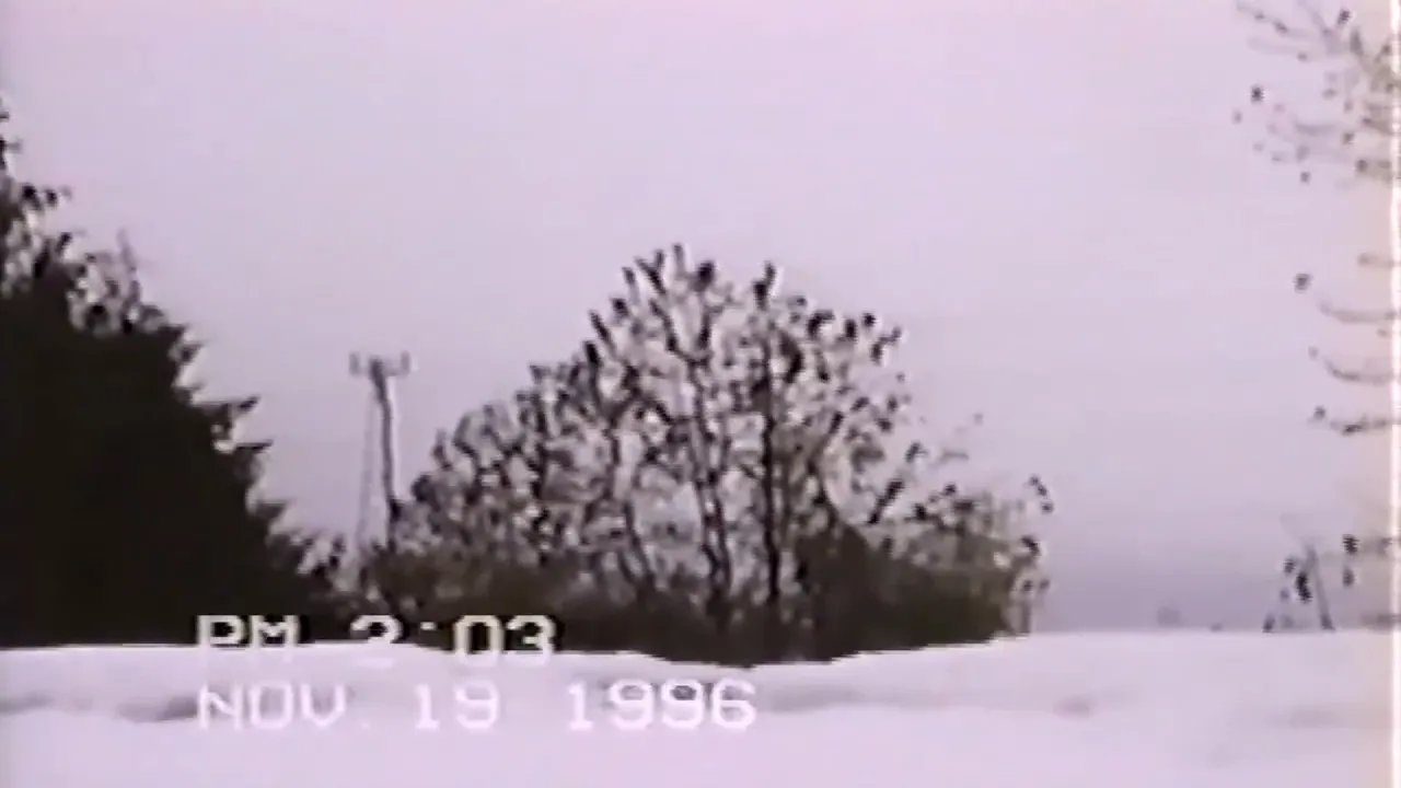 1996-11-19 Snow Screenshot at 2018-09-29 00:22:42.png